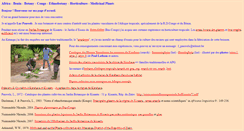 Desktop Screenshot of nzenzeflowerspauwels.be